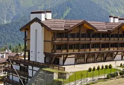 Композитная черепица Metrotile Viksen 1330*410 мм Metrotile-1